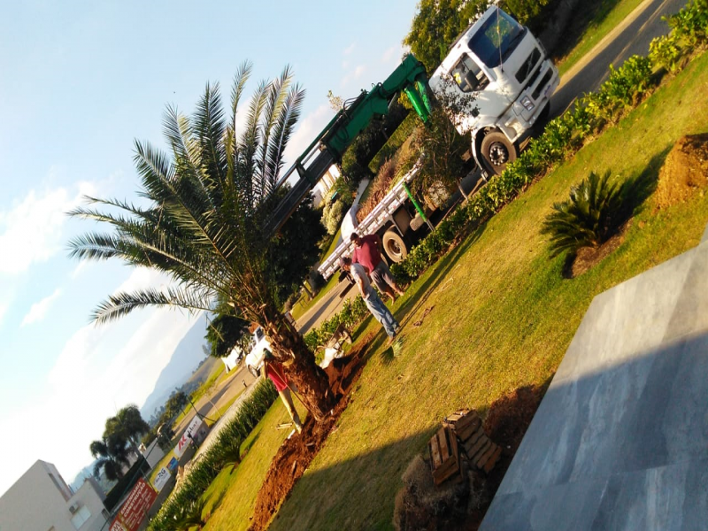 caminhão munck remoção de árvores e palmeiras sjc