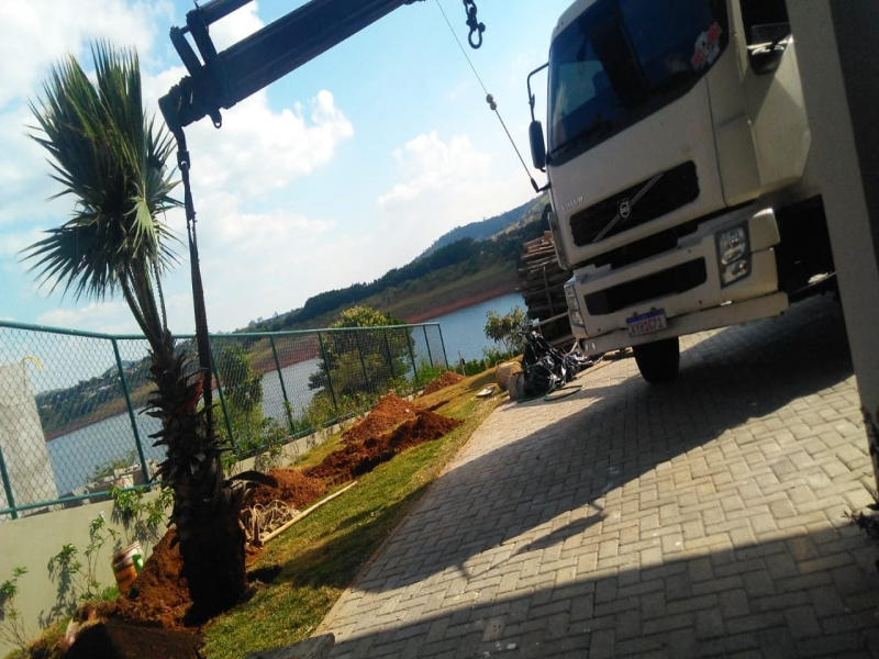 caminhão munck remoção de árvores sj campos