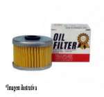 Kit 2L óleo Motul 10W30 +1 filtro de óleo CB300 / XRE300 / CB250 Nova Twister