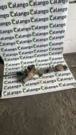 CAIXA ELÉTRICA HONDA CITY E FIT 2012 A 2014.